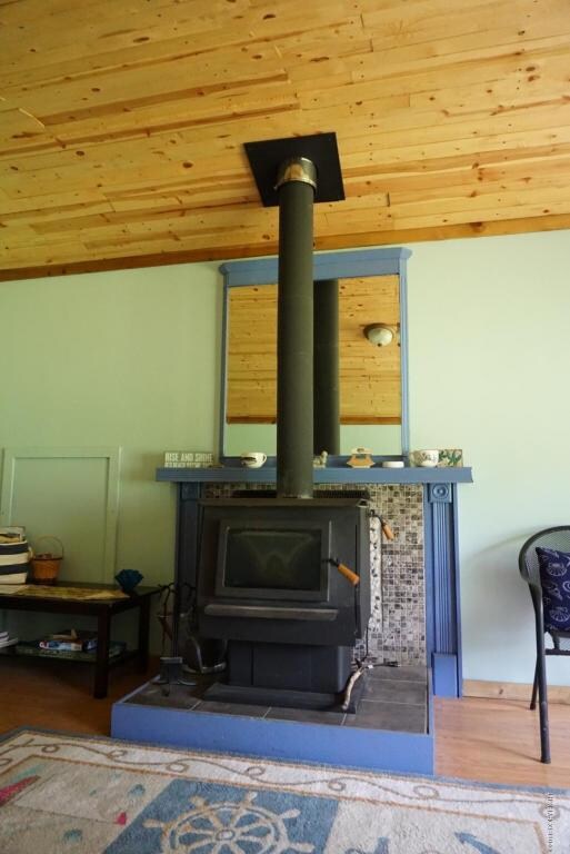 Wood stove