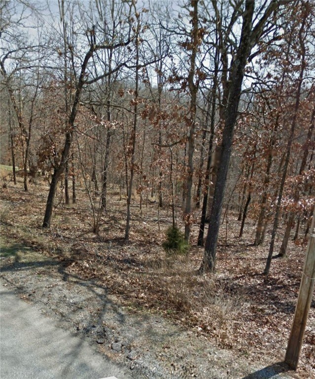 0 Bembridge Ln unit 1251594, Bella Vista, AR 72715 - photo 2