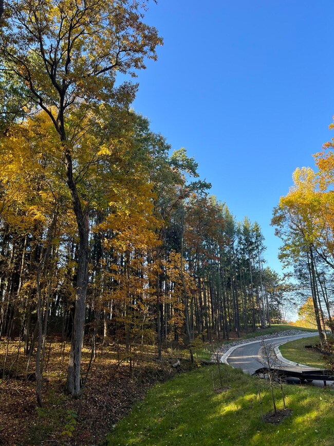 6822 Morrison Hills Ct, Dexter, MI 48130 - photo 6