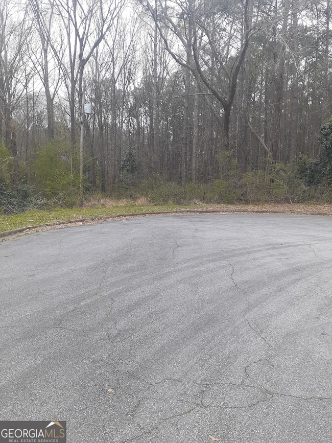 100 Lovelace St, Newnan, GA 30263 - photo 4