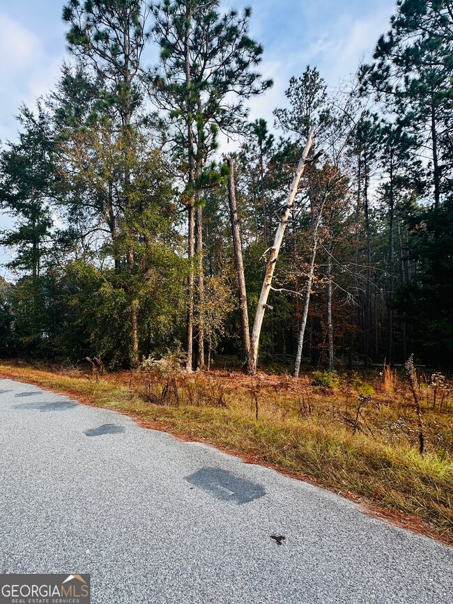 0 Brentwood Cir unit 10648008, Statesboro, GA 30458 - photo 2