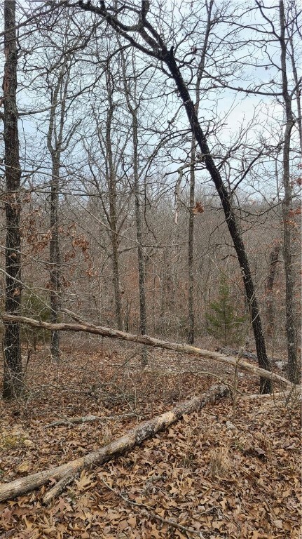 0 Orwell Cir unit 1240967, Bella Vista, AR 72715 - photo 3