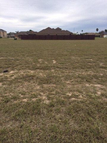 NN Zinnia St, Weslaco, TX 78599 - photo 4