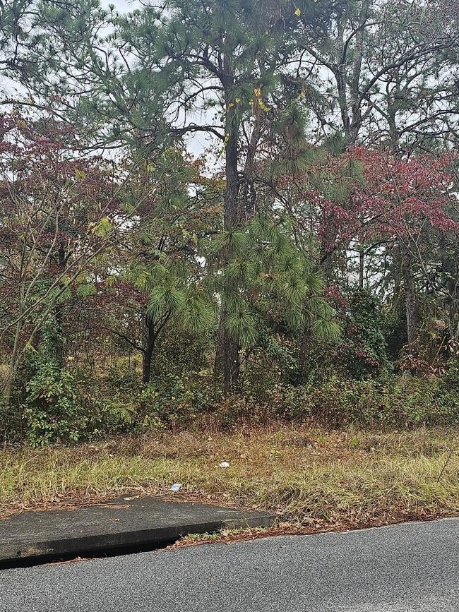 2307 Boykin Rd, Augusta, GA 30906 - photo 3