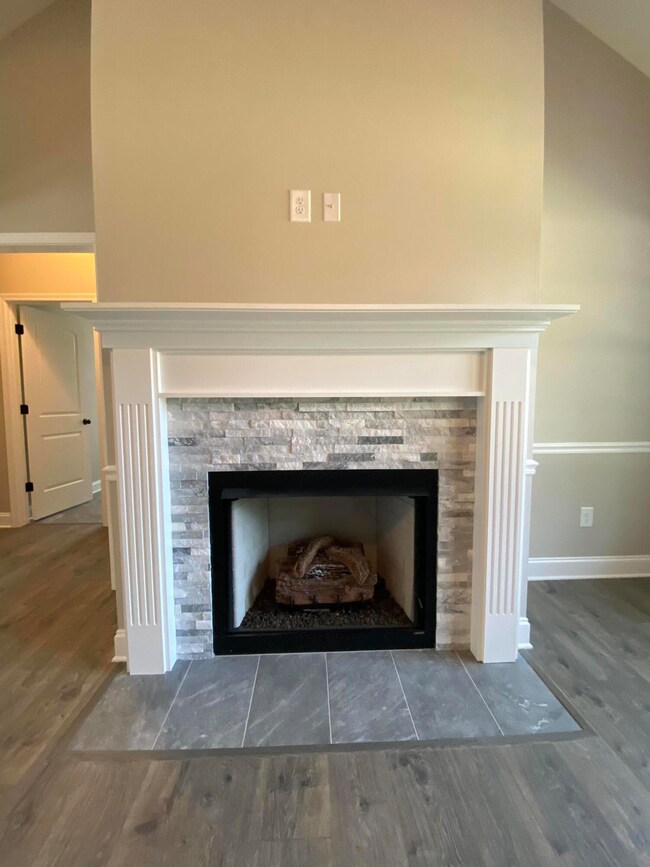 Gas fireplace with stone surround