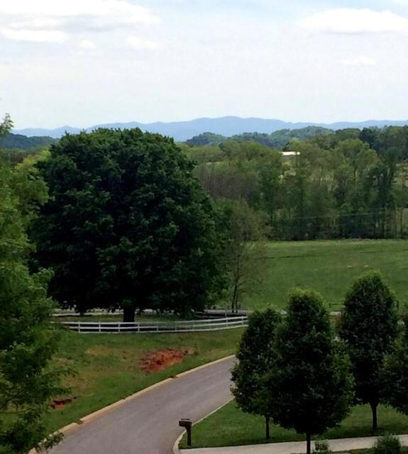 View from Porch