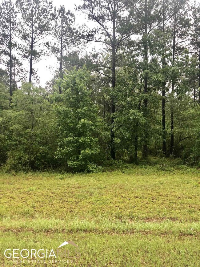 0 Okmulgee Trail unit LOT 56 20128157, Dublin, GA 31021 - photo 6