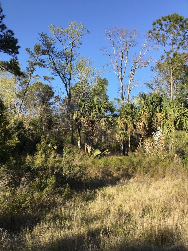 1456 Dupree Creek Rd, Awendaw, SC 29429 - photo 7