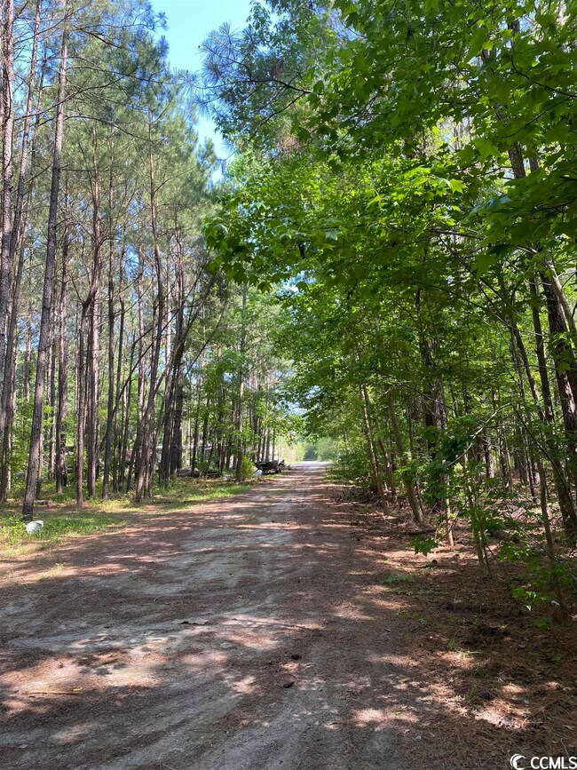 TBD Silver Moon Ct unit 1.22+/- Acres, Conway, SC 29526 - photo 5