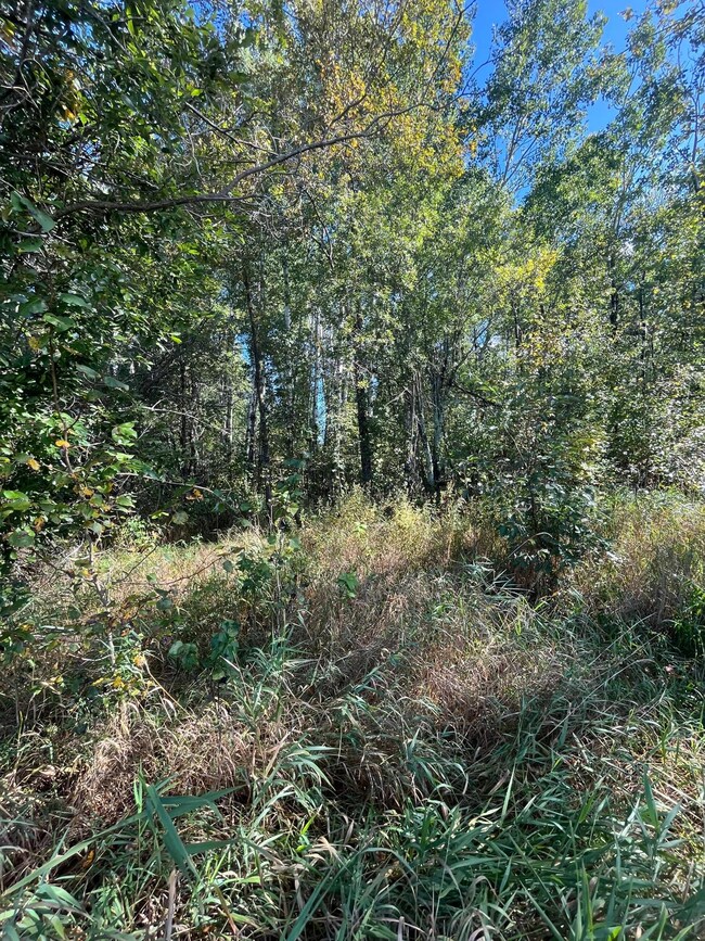 TBD E Pine Dr, Angle Inlet, MN 56711 - photo 3