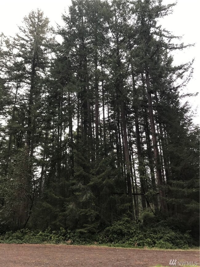 11311 Admiralty Way unit AI, Anderson Island, WA 98303 - photo 2