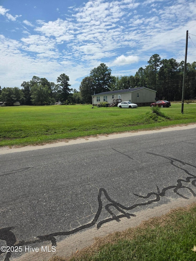 0 unit 100521949, Grifton, NC 28530 - photo 3