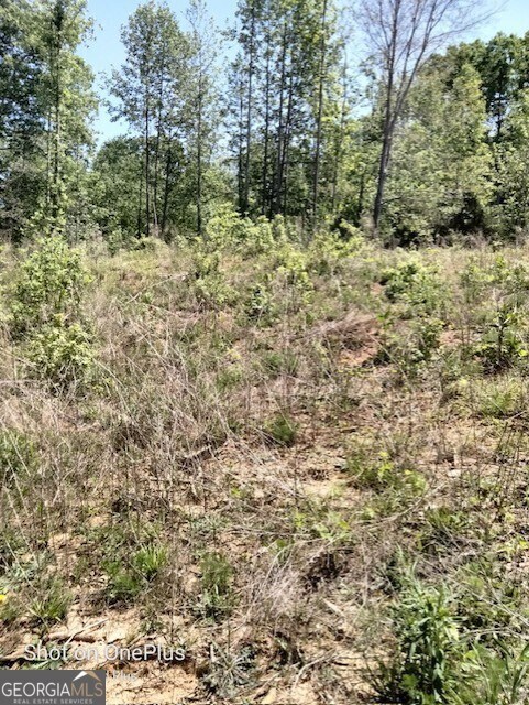 620 Ivy Creek Dr, Nicholson, GA 30565 - photo 5