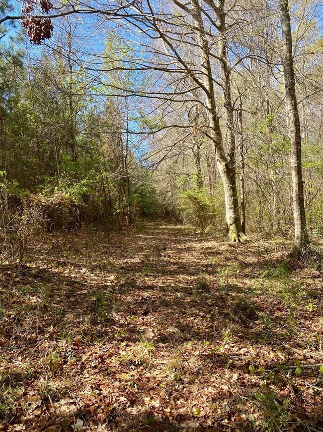 2316 Traci Loop, Bogue Chitto, MS 39629 - photo 2