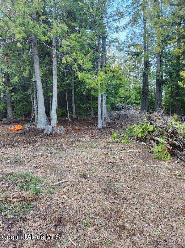 NKA Middle Fork Santa Creek, St. Maries, ID 83861 - photo 2