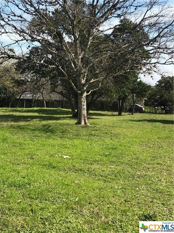 1409 Earle St, San Marcos, TX 78666 - photo 3