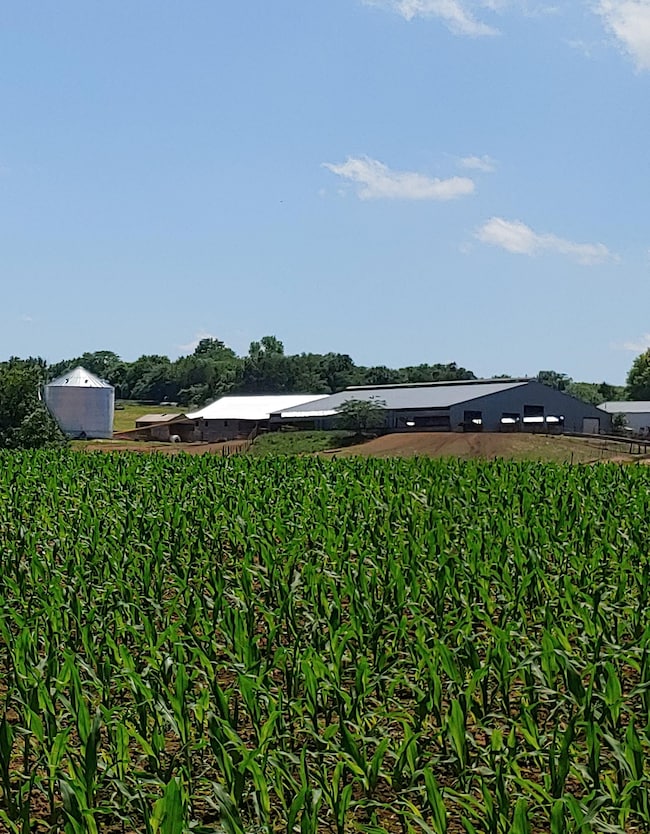 1865 Highway Kk, Bolivar, MO 65613 - photo 6