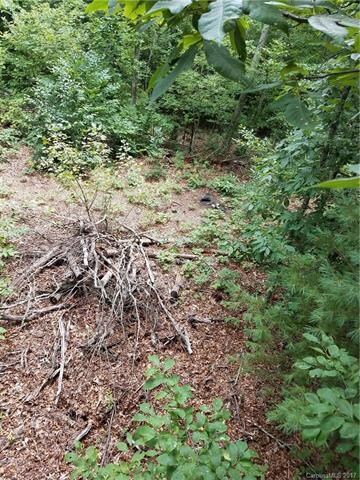 0 Dale Earnhardt Dr unit 3313928, Burnsville, NC 28714 - photo 4