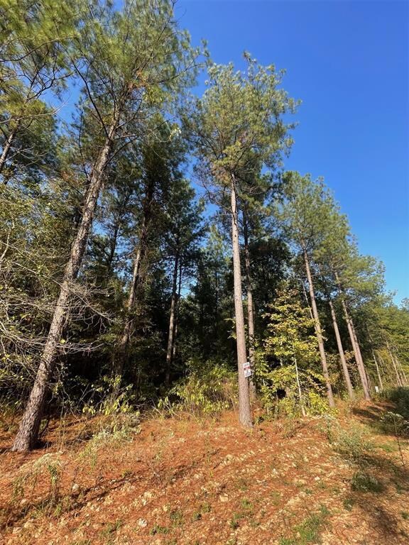 758 Timber Creek Trails South XI, Broken Bow, OK 74728 - photo 6