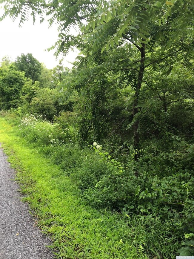 58 Debbie Dr, Athens, NY 12015 - photo 4