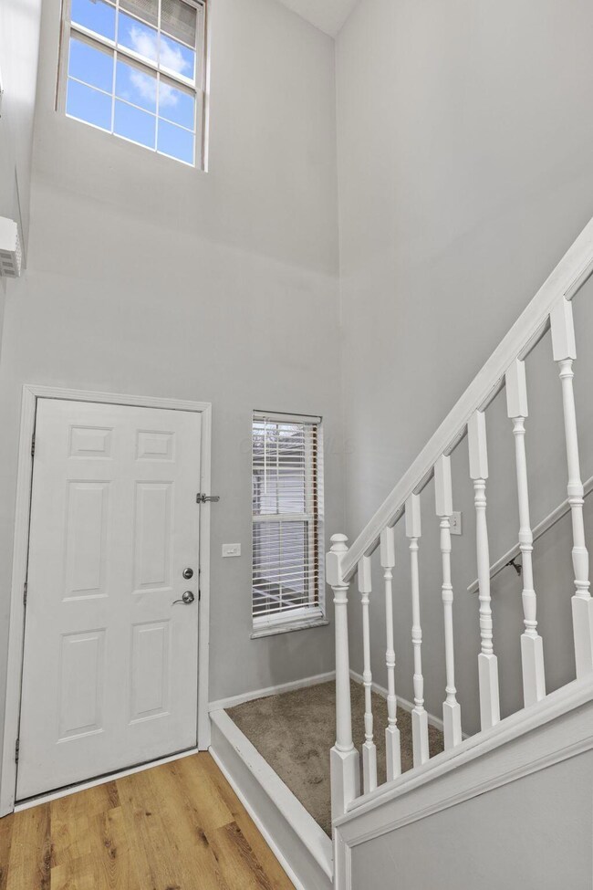 5-web-or-mls-939A5859