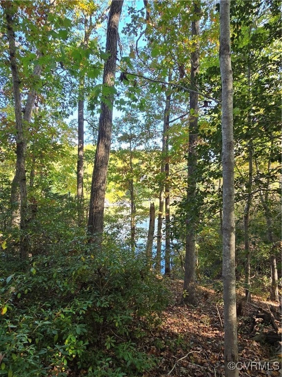 Creek View