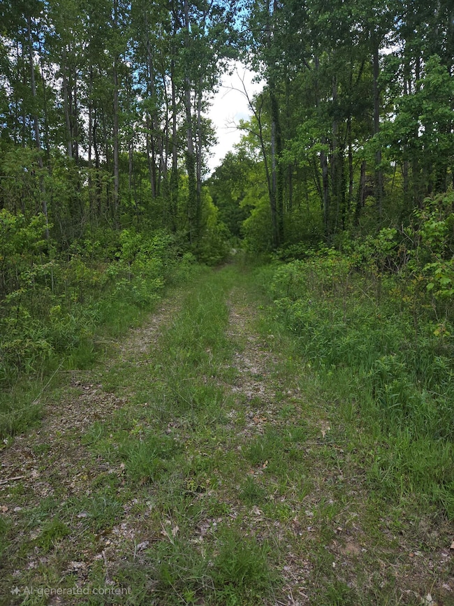 drive looking to road