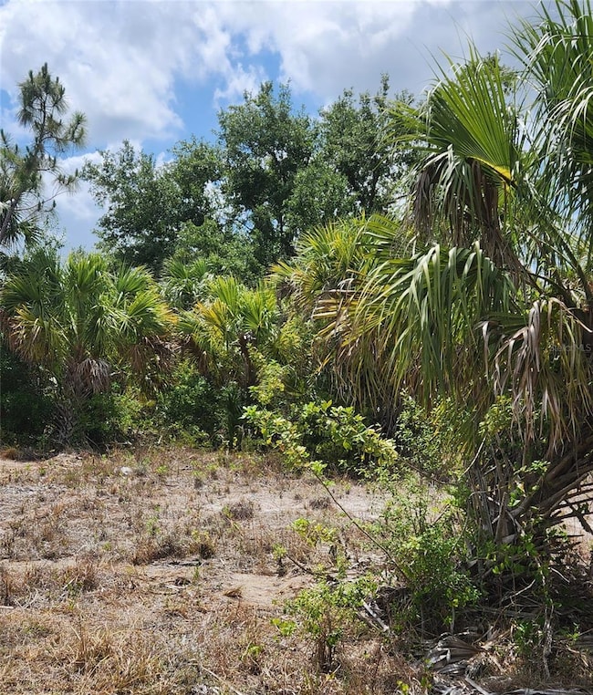 0 Bennington St unit MFRC7500517, North Port, FL 34288 - photo 2