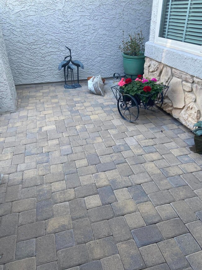 145 S Lakeview Blvd, Chandler, AZ 85225 - photo 5