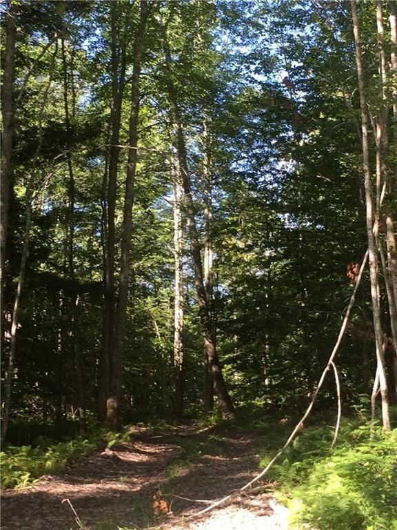 Heading down the path to the stream.