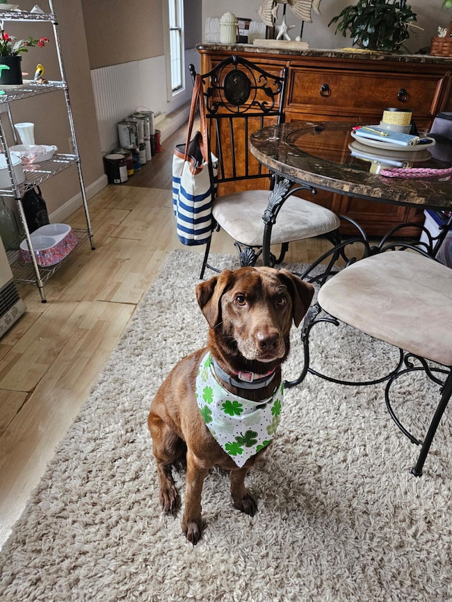 392 High St, Sanford, ME 04073 - photo 4