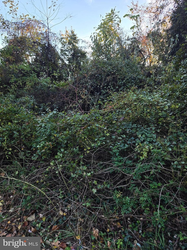 8824 Old Laurel Bowie Rd, Bowie, MD 20720 - photo 2