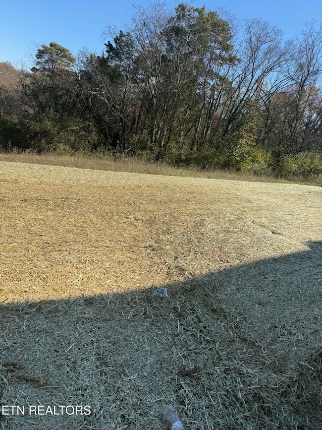 1726 Bennett Village Dr, Maryville, TN 37804 - photo 3