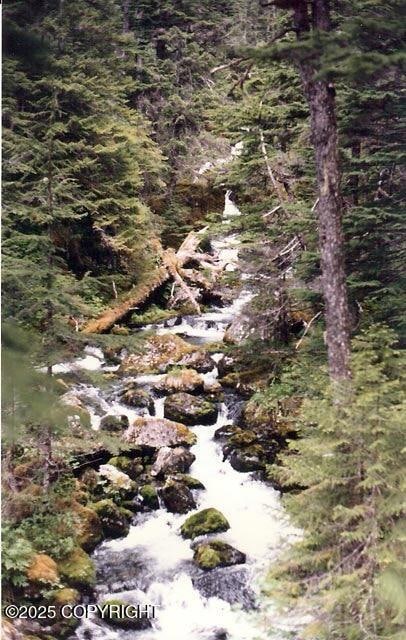 90-111 Tr A No Rd Whidbey Bay, Seward, AK 99000 - photo 3