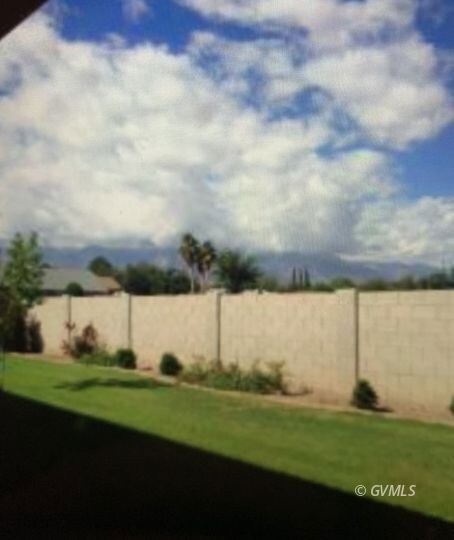 Back yard