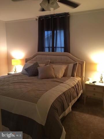 3847 Harrison Cir, Trappe, MD 21673 - photo 3