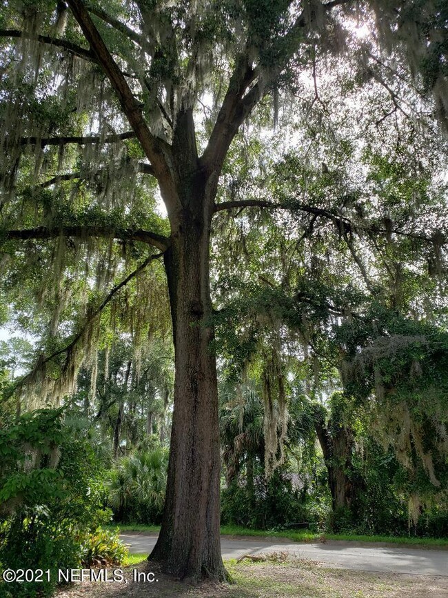 Oak Tree Lk City Shelby