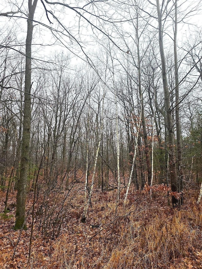 2391 40th St, Cumberland, WI 54829 - photo 5