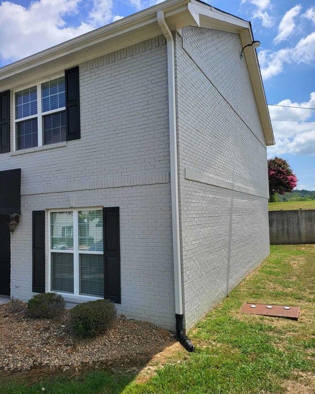 1110 Maple Tree 8
