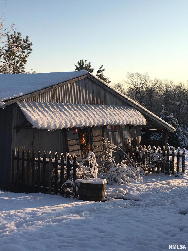 1705 S Walnut Grove Rd, New Burnside, IL 62967 - photo 3