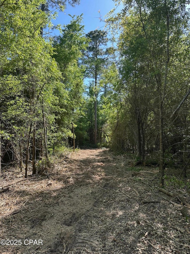 00 Marcus Dr, Greenwood, FL 32443 - photo 4