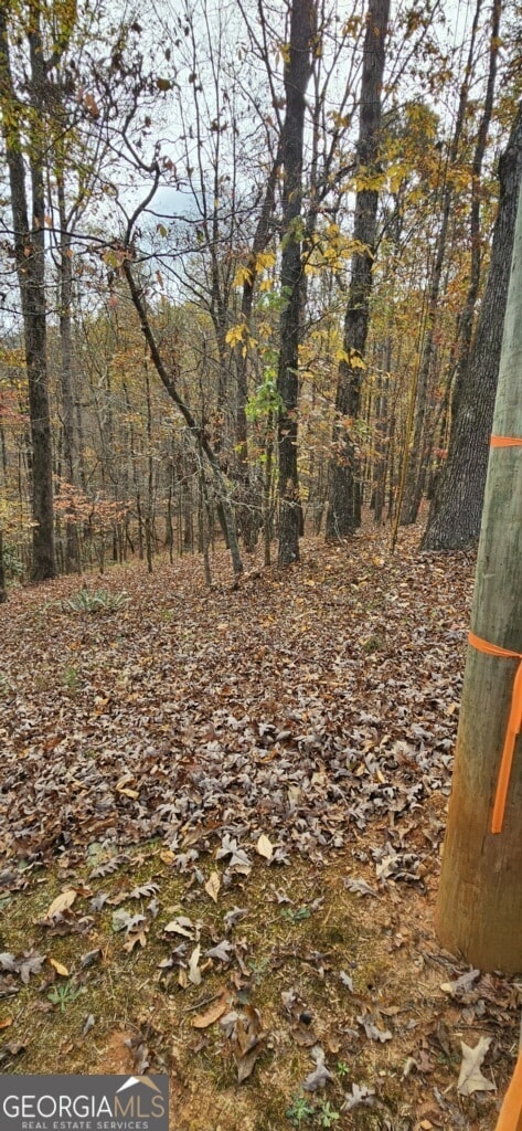 0 N Falling Waters Dr unit 10648155, Demorest, GA 30535 - photo 4