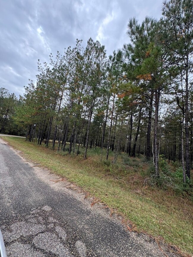 NHN Lost Creek Ln, Picayune, MS 39466 - photo 2