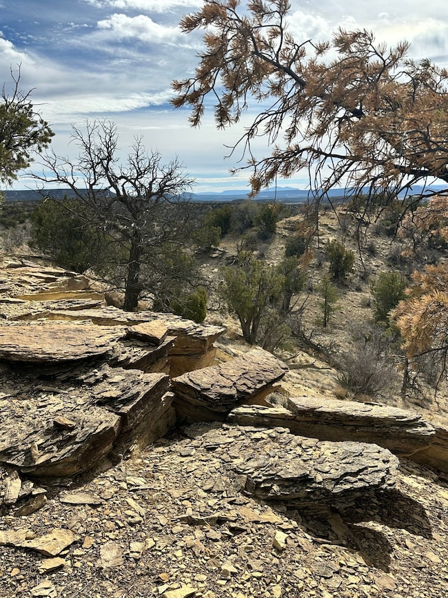 0 Nsn Highway 36 unit 25747166, Fence Lake, NM 87513 - photo 6