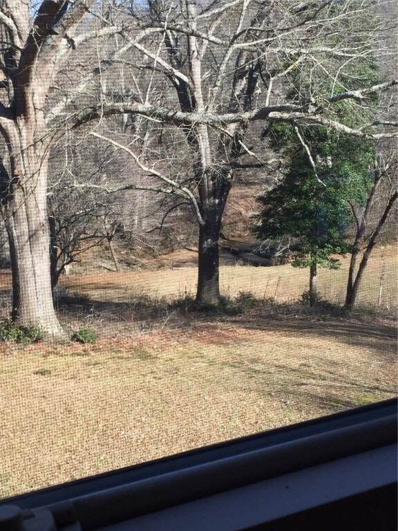 View of Cane Creek from the Sunroom/Den