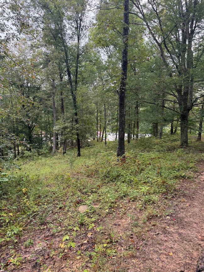 15709 Trace Rd, Rush, KY 41168 - photo 3