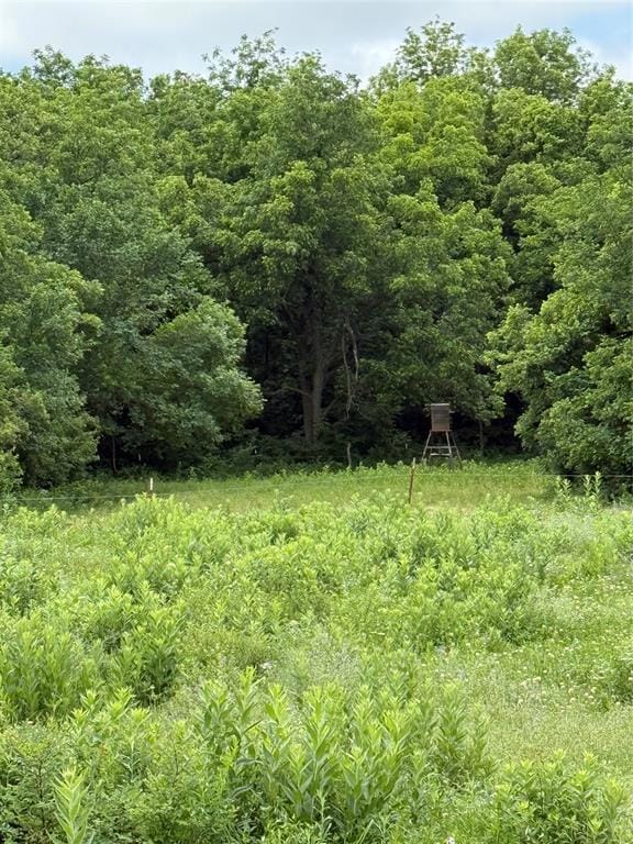 7701 N Brush Creek Rd, Glencoe, OK 74032 - photo 3