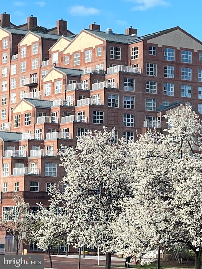 Scarlett Place unit 413, Baltimore, MD 21202 - photo 3