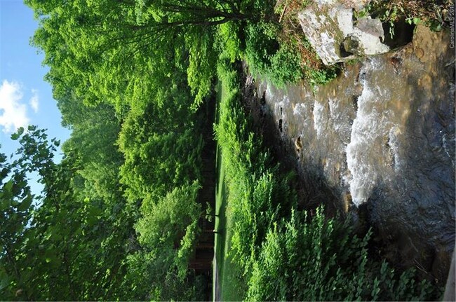 407 Bald Mountain Rd, Burnsville, NC 28714 - photo 2