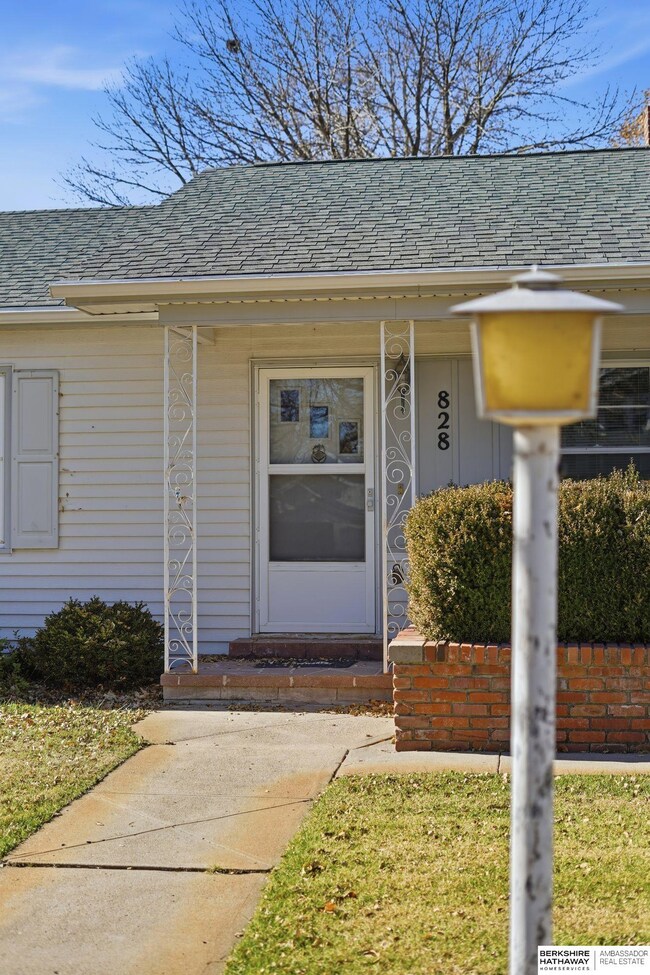 828 S 3rd St, Albion, NE 68620 - photo 6